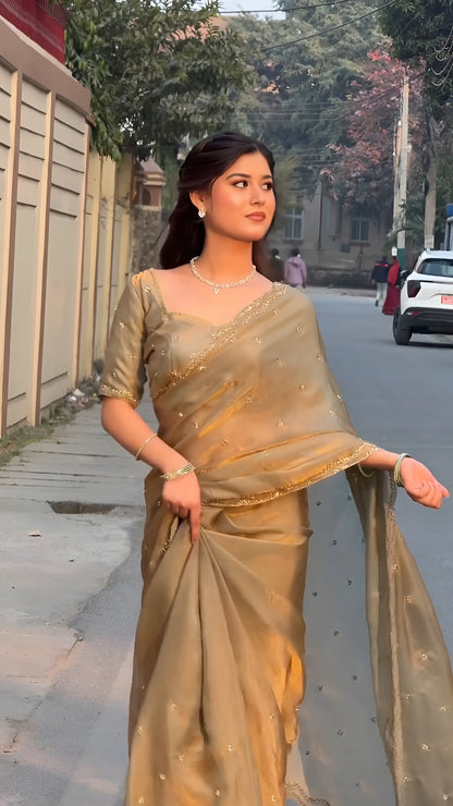 Bits Work Fandy Silk Saree