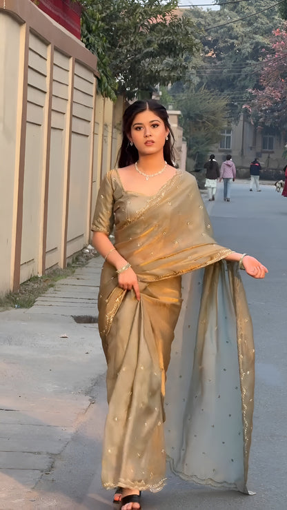 Bits Work Fandy Silk Saree